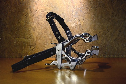 Pony equine dental miniatur - pony,