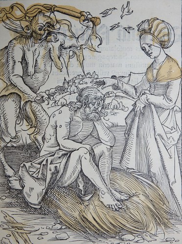 Medizin pinder dürer syphilis - pinder,