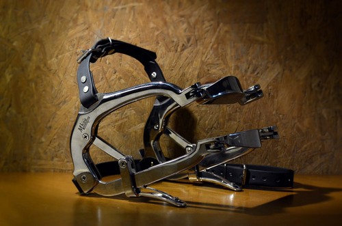 Millennium equine dental - millennium,